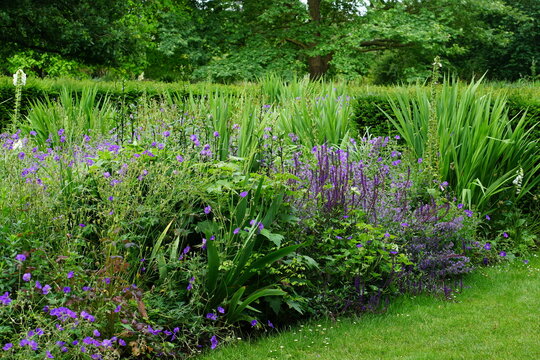 Cambridge Botanical gardens in summer, photographed in June 2021