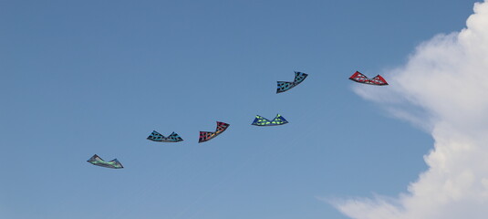 six kites fly on a blue sky 