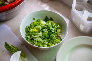 Fresh green vegetable on a big white bowl