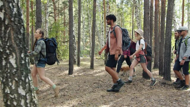 Slow motion of cheerful youth friends with backpacks walking enjoying carefree walk in forest having fun together. People and adventures concept.