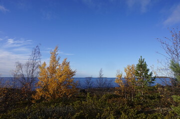 Obraz na płótnie Canvas A bright, colourful autumn day in Kokkola, Finland