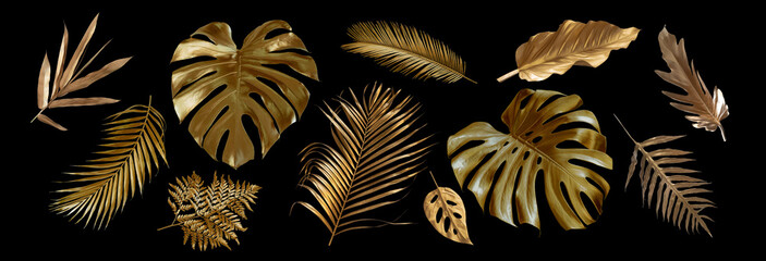 Tropical leaves gold and black, can be used as background(Monstera,palm,coconut,fern)