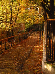 Jesienna droga przez park, Lwów, Ukraina