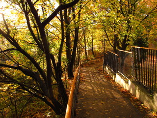 Jesienna droga przez park, Lwów, Ukraina