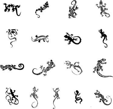 Lizard Tattoos Images – Browse 11,686 Stock Photos, Vectors, and Video