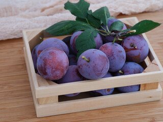 Freshly harvested blue plums with leaves in a wooden box