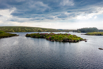 Fototapeta na wymiar Aerial view of island in Lough Craghy, Tully Lake - Part of the Dungloe systen