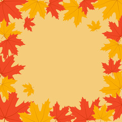 Autumn leaves. Frame with fall maple leaves. Fall background. 