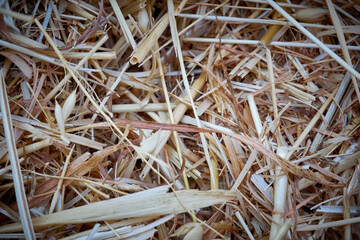 Dry hay straw backdrop texture