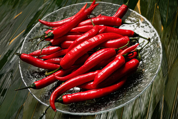 Background of ripe red chili peppers