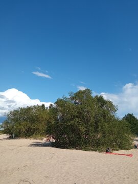 beach