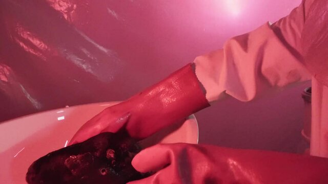 Someone wearing gloves holds the severed small head of an animal and puts it in a container inside room with red lighting. The ritual of sacrifice. Religion