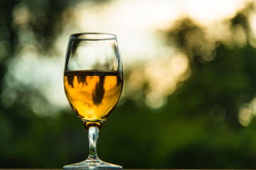 Glass of wine against the background of the sky and greenery
