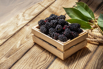Harvested harvest of ripe fragrant blackberries in wooden box on wooden table. Topic: presentation...