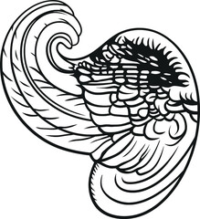 Hand drew angel wing illustration