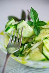 fresh organic cucumber salad with herbs and basil in a plate