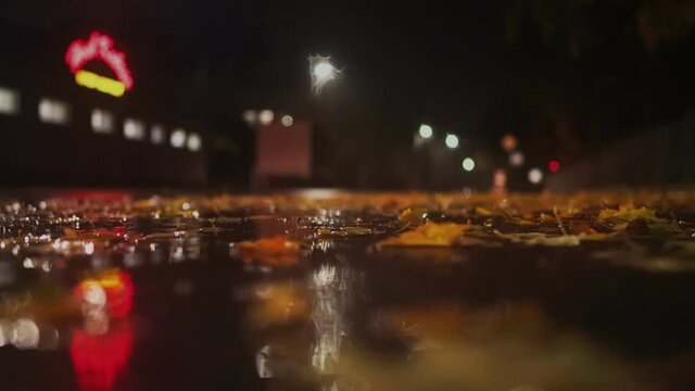 Autumn rain at night. Car pulls up and stops at crossroad at red traffic light. Fall. Fallen leaves are lying in a puddle on road. Bad and dangerous weather conditions. Low angle shot