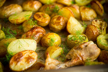 Early baked potatoes with zucchini and chicken