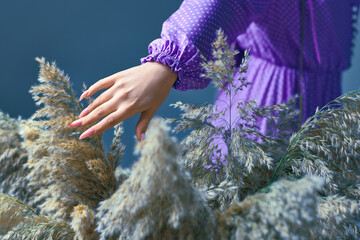 female hand holds the pampas grass. girl holding reed