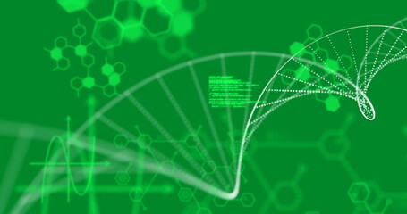 DNA structure forming against medical data processing on green background