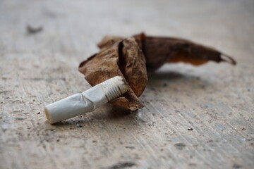 a dry leaf and cigarette trash on the rough floor
