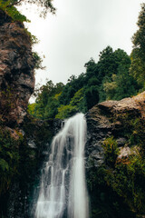 waterfall in the forest