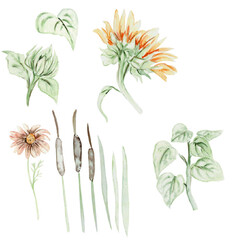 Watercolor Sunflowers Fall clipart

