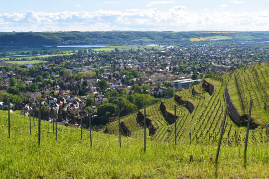 Weinberge Spitzhaus Radebeul