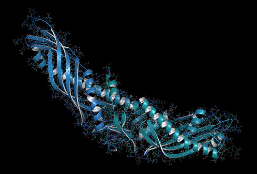 Cholesteryl ester transfer protein (CETP), 3D rendering. Potenti