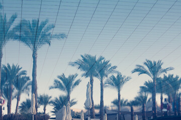 Reflection of palm trees in blue water in pool. Summer tropical nature abstract background