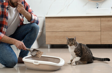 Young man cleaning cat litter tray in bathroom