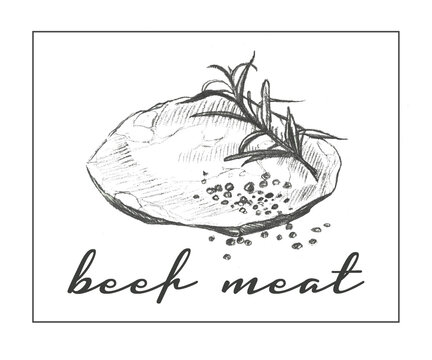 beef meat hand drawn in pencil Close-up view of fresh raw  Steak chuck in isolated white background