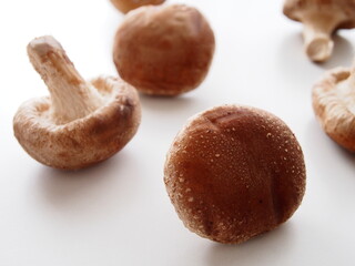 白いテーブルにランダムに置いた椎茸