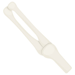 Wrist Joint Concept, Bone Skeleton Vector color Icon Design, Organ System Symbol, Human Anatomy Sign, Human Body Parts Stock illustration