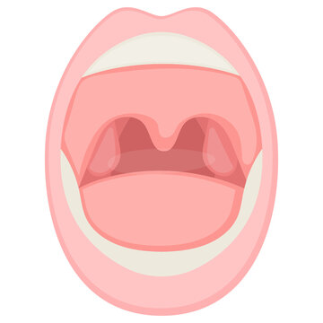Human Mouth Concept, Throat and Tonsils Vector color Icon Design, Organ System Symbol, Human Anatomy Sign, Human Body Parts Stock illustration
