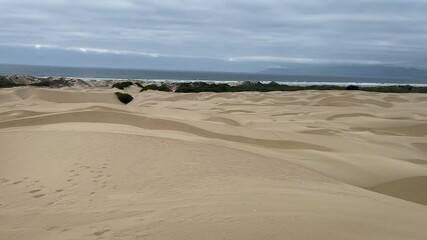 Pacific Sand Dunes State Park at Pismo beach in California, USA