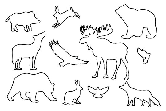 Forest animals silhouettes outline. Decorative elements set on white background