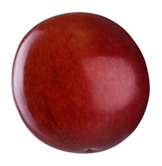 Obraz premium Autumn.