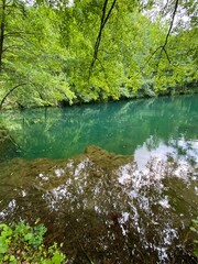 Landscape river in the forest