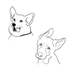 Dogs illustration on white background. Dogs lineart monochrome set. Dog icons
