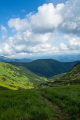 Mountain landscape. Green grass, blue mountains, flowers and needles. Montenegrin ridge in Ukraine in July. Hike in the Carpathian Mountains.
