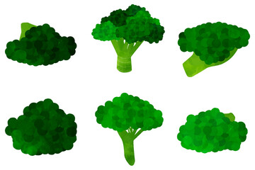 Vegetable broccoli variation illustration set