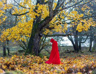 Wizard or Witch och Sorcerer or Sorceress or other fantasy character in the Swedish autumn woodlands