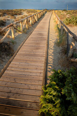 Obraz premium Walkway leading to the sea in the natural park of Viareggio Italy