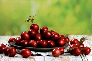 Prunus cerasifera var. pissardii or Spidola plum - Caucasian plum variety bred in Latvia. A small red plum