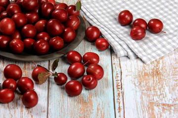 Prunus cerasifera var. pissardii or Spidola plum - Caucasian plum variety bred in Latvia. A small red plum