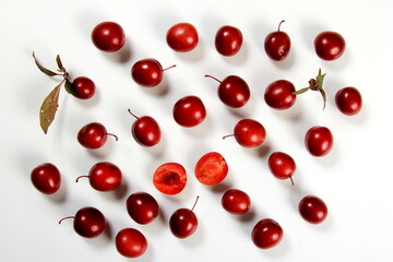 Prunus cerasifera var. pissardii or Spidola plum - Caucasian plum variety bred in Latvia. A small red plum