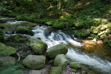 Der Grobbach, ein Wildbach zum Geroldsauer Wasserfall