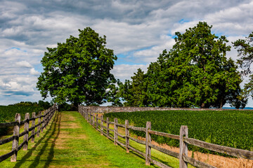 Fototapeta na wymiar Lane to Mumma Cemetery, Antietam National Battlefield, Maryland