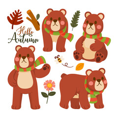 Bear with Scarf Character Autumn Animal Cartoon Set Design, Illustration